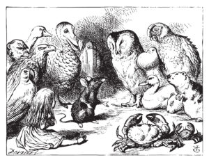 John Tenniel illustration of the caucus, Alice in Wonderland